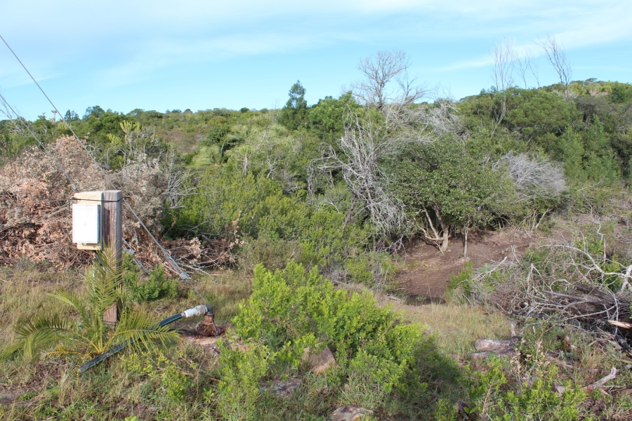 1 Bedroom Property for Sale in Bathurst Rural Eastern Cape